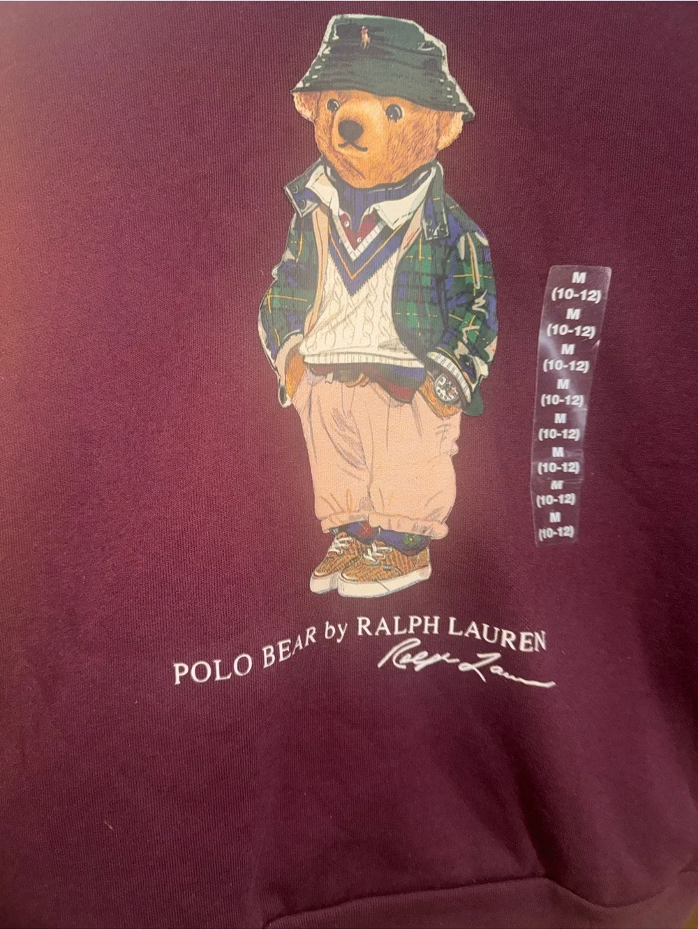 NWT, Boys POLO RALPH LAUREN Multicolor Polo Bear Hoodie. Size Medium (10-12)